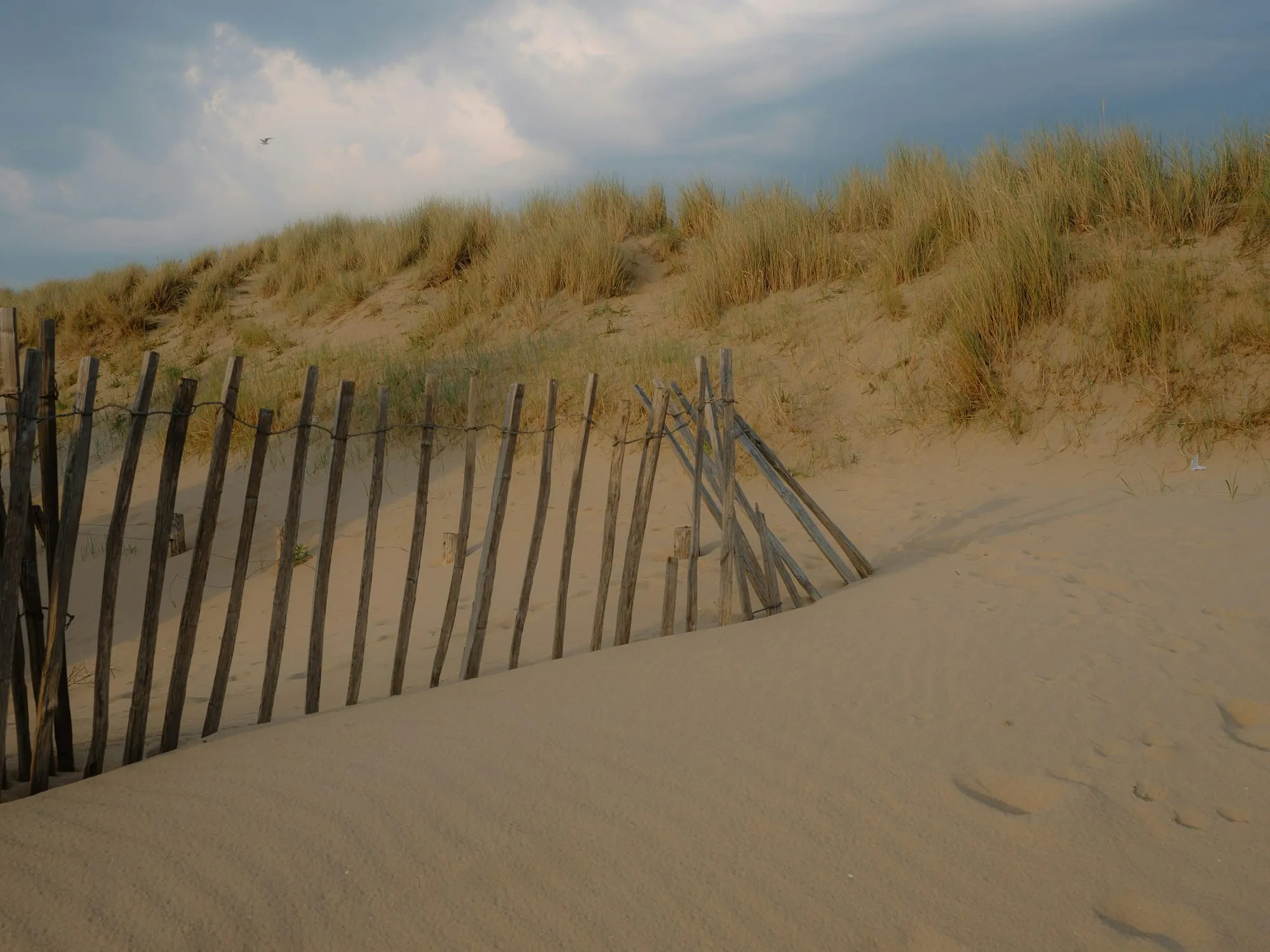 Verwitterter Holzzaun auf einer Düne mit Strandgras