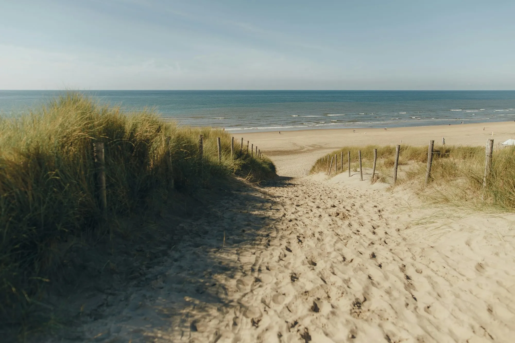 Sandweg zwischen Dünen mit Strandgras, der zum Meer hinunterführt